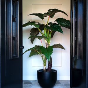 Argento New Egg Pot - Black