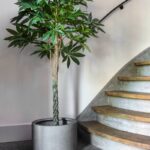 Grigio Cylinder - Natural Concrete