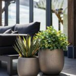 Grigio Metallic Balloon - Champagne