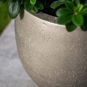 Grigio Metallic Balloon - Champagne (4)