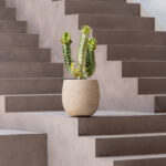 Terreno Balloon - Sand