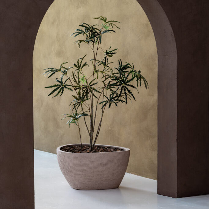 Ruvido Organic Low - Sand